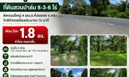 ขายที่ดิน - ขายถูกมาก!! ที่ดินสวนปาล์ม 8-3-6 ไร่ ติดถนนใหญ่ 4 เลน อ.ห้วยยอด จ.ตรัง ใกล้อำเภอเมืองประมาณ 12 นาที