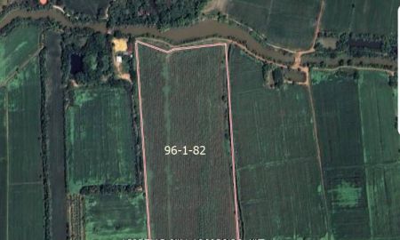 ขายที่ดิน - ขายที่ดิน 96-1-82 ไร่ ต.หนองปลาไหล อ.วังทรายพูน พิจิตร ห่างถนนใหญ่ 2 กม ไร่ละ 8 หมื่น