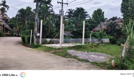 ขายที่ดิน - ขายที่ดินตำบลหนองควายหางดงห่างวงเวียนพืชสวนโลก 200เมตร