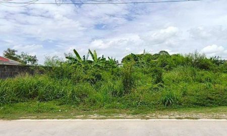 ขายที่ดิน - ขายที่ดินหนองปรือ พัทยา 202 ตรว. ซอยเนินพลับหวาน มาบยายเลีย43 ใกล้อ่างเก็บน้ำมาบประชัน-4กม. อ.บางละมุง ชลบุรี