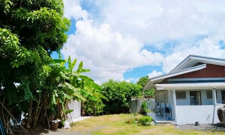 ขายบ้าน - ขายถูกมาก!! บ้าน + บ้านเช่า 3 ห้อง บนที่ดิน 161 ตร.ว. อ.เมือง จ.บุรีรัมย์ ใกล้ม.ราชภัฏ วงเวียนช้าง สนามช้างอารีนา