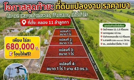 ขายที่ดิน - ขายที่ดินสร้างบ้านสวน คลอง 11 หนองเสือ ปทุมธานี