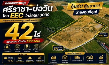 ขายที่ดิน - ที่ดินแปลงสวย 42 ไร่ ใกล้ถนน 3009 ศรีราชา โซน EEC ศักยภาพโรงงาน โกดัง