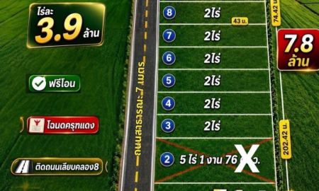 ขายที่ดิน - ขายที่ดินสวย ทำเลดี อนาคตไกล คลอง 8 หลังวัดดอนใหญ่ ตำบล ลำลูกกา อำเภอลำลูกกา ปทุมธานี
