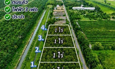 ขายที่ดิน - ที่ดินสวย คลอง 9 ปทุมธานี ทำเลดี ถมแล้วพร้อมสร้าง ตำบล บึงชำอ้อ อำเภอ หนองเสือ ปทุมธานี