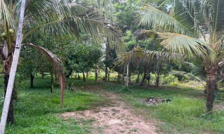 ขายที่ดิน - ขายที่ดิน สวนทุเรียน ทำเลดี อ.เมือง จ.ปราจีนบุรี