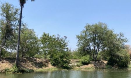 ขายที่ดิน - ขายที่ดินติดแม่น้ำกุยบุรี จังหวัดประจวบคีรีขันธ์เนื้อที่ 286 ตารางวา