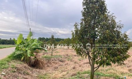 ขายที่ดิน - ขายที่ดิน อ.แปลงยาว จ.ฉะเชิงเทรา พร้อมสวนทุเรียน 200 ต้น ได้ทั้งที่ดิน ได้ทั้งสวน พื้นที่ 9 ไร่ 1 งาน 98 ตรว. เหมาะลงทุนทำสวนหรือสร้างบ้านสวน