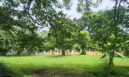 ขายที่ดิน - ขายที่ดินในโครงการเวิลด์คลับแลนด์หนองควายหางดงโฉนด