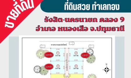 ขายที่ดิน - ที่ดินเงินผ่อน ไม่มีดอกเบี้ย มีที่ดินเป็นของตัวเองได้ง่ายขึ้น คลอง 9 หนองเสือ ปทุมธานี