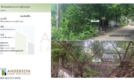 ขายที่ดิน - ขายที่ดิน ซอยพัฒนาการ 65 (หมู่บ้านผาสุก)