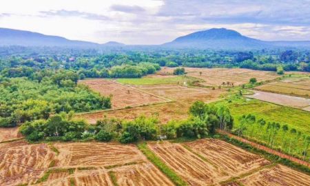 ขายที่ดิน - มีที่ดินเป็นของตัวเองใกล้เขาใหญ่ ในราคาจับต้องได้ โซนนาหินลาด อ.ปากพลี จ.นครนายก