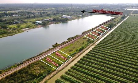 ขายที่ดิน - ที่ดินวิวบึง คลอง 10 หนองเสือ ปทุมธานี แปลงละ 100 ตร.ว.
