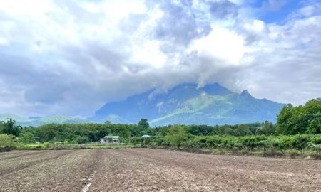 ขายที่ดิน - ขายที่สวนบ้านแม่นะเชียงดาววิวดอยหลวงโฉนดพร้อมโอน