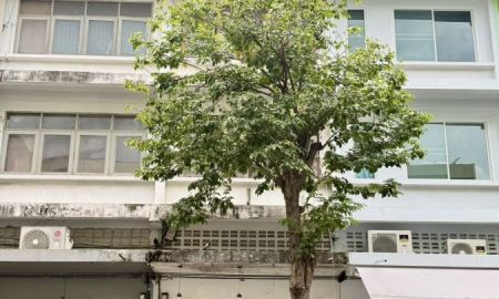ขายอาคารพาณิชย์ / สำนักงาน - ขายอาคารพาณิชย์ 3 ชั้นครึ่ง เพชรเกษม 54 ภาษีเจริญ กรุงเทพมหานครฯ