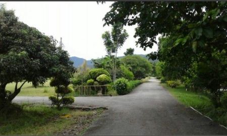 ขายที่ดิน - ขายที่ดิน115ไร่ ลดพิเศษ 39ล. ผ่อนได้ ฟรีโอน บ้านยุโรป3หลัง สาธารณูปโภค เหมาะทำรีสอร์ท คาเฟ่ ที่เที่ยว เกษตร ใกล้เทศบาล ต.ทากาศ อ.แม่ทา ลำพูน