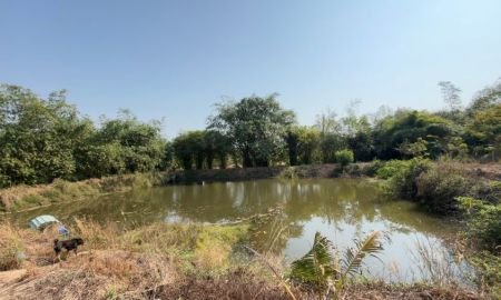 ขายที่ดิน - ขายที่ดินปลวกแดงพร้อมสวนทุเรียน 5 ไร่ ซอยมาบยางพร1 ใกล้ถนนเส้น3013-1กม. จ.ระยอง