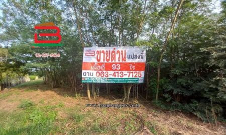 ขายที่ดิน - ที่ดินถมแล้ว ติดถนนคลอง 10 เนื้อที่ 93 ไร่ ถนนรังสิต-นครนายก ตำบลบึงกาสาม อำเภอหนองเสือ จังหวัดปทุมธานี