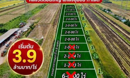 ขายที่ดิน - ที่ดินแปลงใหญ่ คลอง 8 ลำลูกกา ทำเลน่าลงทุน ใกล้ชุมชน