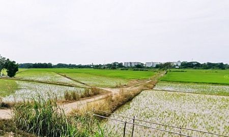 ขายที่ดิน - ที่ดิน2.5แสนต่อไร่ รวม3ไร่กว่า 8.8แสนบาท ใกล้บ้านเอื้ออาทรพิจิตร สถานีรถไฟพิจิตร อ.เมือง พิจิตร T o86-3ol-6l6l โฉนดพร้อมโอน ถูกมาก