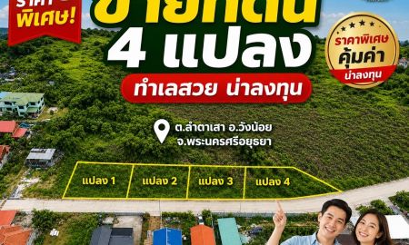 ขายที่ดิน - ขายที่ดิน 4แปลง ถนนโรจนะ-วังน้อย ลำตาเสา วังน้อย อยุธยา ใกล้ตลาดสี่ขวา ทางขึ้นลงมอเตอร์เวย์M6