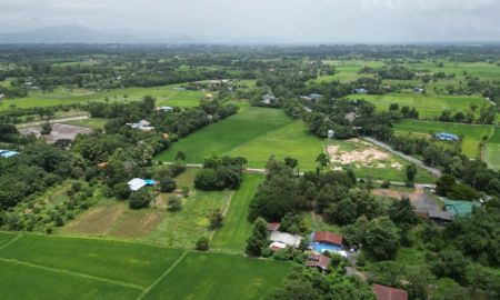 ขายที่ดิน - ที่ดินบ้านนาแปลงสวยราคาถูก น่าลงทุนมาก หน้าแปลงติดถนนคอนกรีต ตำบล พิกุลออก อำเภอบ้านนา นครนายก