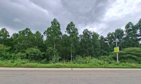 ขายที่ดิน - ขายที่ดินเปล่า ซอยลำลูกกา181 คลอง9 ลำลูกกา ปทุมธานี