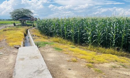 ขายที่ดิน - ที่ดินติดคลองชลประทาน ดินดี น้ำดี มีน้ำสมบูรณ์ตลอดปี จำนวน 4 ไร่