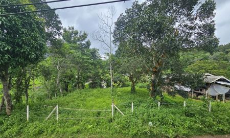 ขายที่ดิน - ที่ดิน แนวราบขนาด 191 ตรว หน้ากว้างประมาณ 28 ม ใกล้ทางขึ้นม่อนแจ่ม วิวภูเขา อากาศเย็น เหมาะสำหรับสร้างบ้านเพื่อพักผ่อน หรือทำ Pool Villa, Home stay.