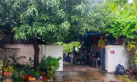 ขายที่ดิน - ขายที่ดินทำเลดี ในหมู่บ้านสวัสดิการ กทม. แจ้งวัฒนะ 28