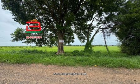 ขายที่ดิน - ที่ดินเปล่า เนื้อที่ 20-1-86 ไร่ ใกล้วัดไก่เตี้ย ถนนสายเอเชีย หมายเลข 32 ตำบลคลองน้อย อำเภอบ้านแพรก พระนครศรีอยุธยา