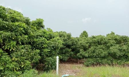 ขายที่ดิน - ขายที่ดิน10 ไร่ พร้อมสวนลำไยและสระน้ำ ทำเลโป่งน้ำร้อน จันทบุรี