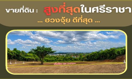 ขายที่ดิน - ท่านใดกำลังมองหาที่ดินที่สูงที่สุดในศรีราชา เพื่อเป็นบ้านหลังสุดท้ายที่มีความสุขในทุกๆวัน