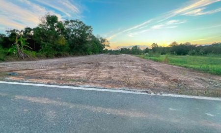 ขายที่ดิน - ขายที่ดินหนองปรือ ถมแล้ว 200 ตรว แปลงหัวมุม พรประภานิมิตร34 ห้วยตาหนู-ทุ่งกลม อ.บางละมุง จ.ชลบุรี