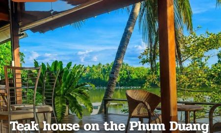ขายบ้าน - ขายบ้านไม้ริมแม่น้ำพุมดวง พร้อมที่ดิน 3-3-4 ไร่ ท่าเรือส่วนตัว ท่าโรงช้าง พุนพิน 8.9 ล้าน