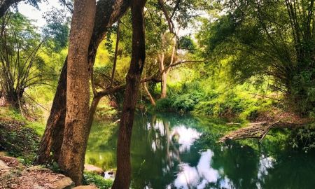 ขายที่ดิน - ขายที่ดินทำเลทอง ปากช่อง-เขาใหญ่ ติดคาเฟ่ โมยาด ด้านหลังติดริมธารน้ำธรรมชาติ บรรยากาศร่มรื่นน่าพักผ่อน