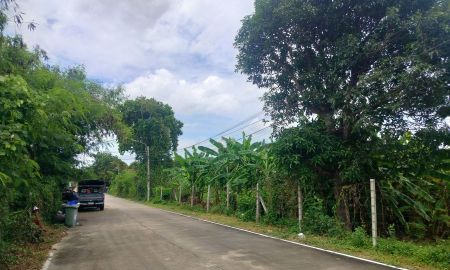 ขายที่ดิน - ที่ดิน ซ.ไทรม้า 21 ติดคลองสวน | นนทบุรี บรรยากาศสงบ