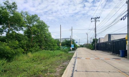 ขายที่ดิน - ที่ดินติดซอยแยกถนนพระเงิน 101 ตร.ว. ทำเลดี ติดถนนสาธารณะคอนกรีต เหมาะสร้างบ้าน / ออฟฟิศ / ร้านค้า / ธุรกิจขนาดเล็ก บรรยากาศร่มรื่น