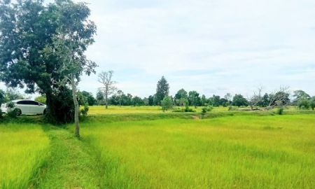 ขายที่ดิน - ที่นาแปลงใหญ่ โฉนด 52 ไร่กว่า อ.ประโคนชัย บุรีรัมย์