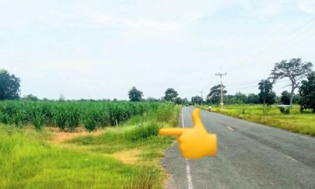 ขายที่ดิน - ที่นามีโฉนด ติดทางสาธารณะ ไร่ละ 165,000 เท่านั้น อ.เมืองบุรีรัมย์