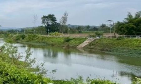 ขายที่ดิน - ที่ที่ดินติดน้ำราคาถูก วิวเขาล้อม หนองหญ้าปล้อง เพชรบุรี
