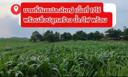 ขายที่ดิน - ขายที่ดินแปลงใหญ่ ห่างจากถนนมิตรภาพ 17กม. พร้อมสิ่งปลูกสร้าง น้ำ/ไฟ ครบ พร้อมใช้งาน