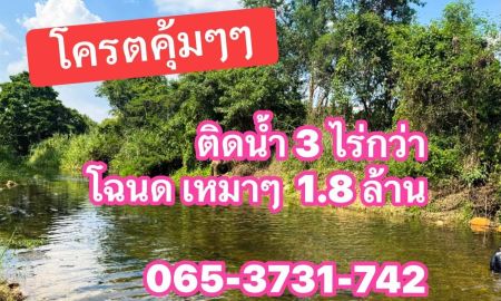ขายที่ดิน - ที่ดินโฉนดติดน้ำราคาถูก แก่งกระจาน เพชรบุรี ติดถนนคอนกรีต น้ำไฟฟ้าครบ