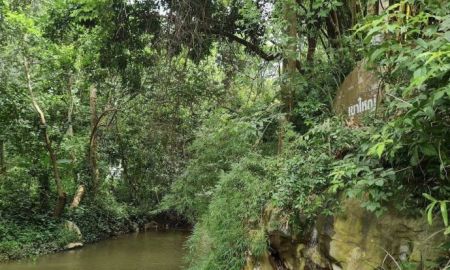 ขายที่ดิน - ขายที่ดินติดน้ำเขาใหญ่ หมูสี ที่ดินริมน้ำสวยมาก 168 ตร.ว ติดลำตะคอง ใกล้น้ำผุดบ้านท่าช้าง น้ำไหลเย็นสบายเห็นวิวเขาร่มรื่นบรรยากาศดีมาก ใกล้ธนะรัชต์