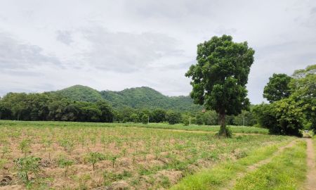 ขายที่ดิน - ขายที่ดินบางพระ ศรีราชา 37 ไร่ ใกล้สนามกอล์ฟถึง 3 เเห่ง ใกล้จุดชมวิวอ่างเก็บน้ำบางพระ