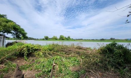 ขายที่ดิน - ที่ดินติดแม่น้ำท่าจีน บางแก้วฟ้า นครชัยศรี 213 ตร.ว. ทำเลริมน้ำวิวสวยหายาก