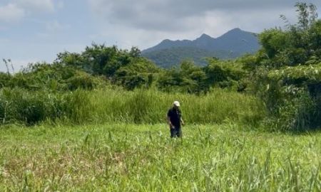 ขายที่ดิน - ที่ดินเปล่าเหมาะสร้างบ้านพักตากอากาศใกล้แหล่งท่องเที่ยวเขาใหญ่ วันเดอร์แลนด์750 เมตร เซอร์เจมส์คันทรี่คลับ ที่ตั้ง ต.มิตรภาพ อ.มวกเหล็ก สระบุรี