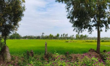 ขายที่ดิน - ขาย ที่ดินเปล่า 44-3-36.8 ไร่ ตำบลพรหมณี นครนายก