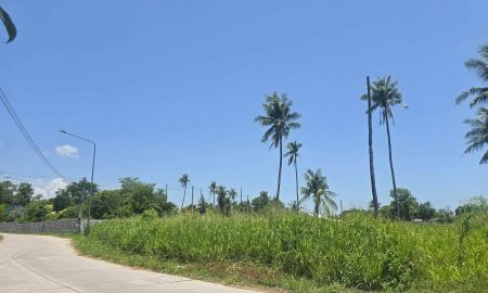 ขายที่ดิน - ขายที่ดินทำเลดีหนองข้างคอก 241 ตรว. ติดถนน2ด้าน ใกล้ถ.เลียบชลบุรี-พัทยา-500เมตร อ.เมืองชลบุรี