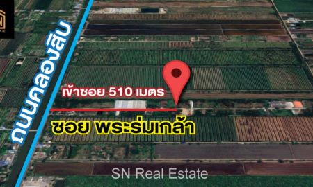 ขายที่ดิน - ขายที่ดิน คลอง 10 ซอยพระร่มเกล้า 1-2-24 ไร่ หนองเสือ ปทุมธานี